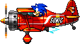 Sonic en Avion